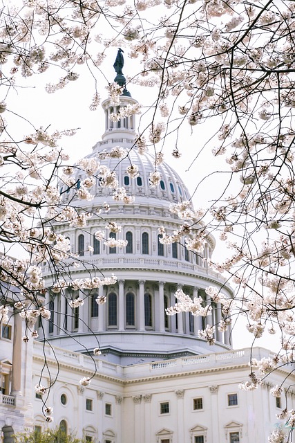 USA Capital